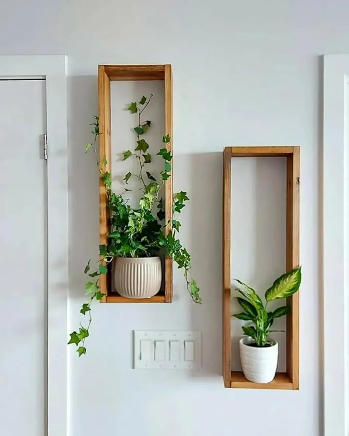 Mango Wood Wall Shelves Set of 2 Floating Shelves for Living Room Bedroom Use Durable Wooden Material Wall Mounted Storage Display Shelf for Home Organization and Stylish Decor Needs