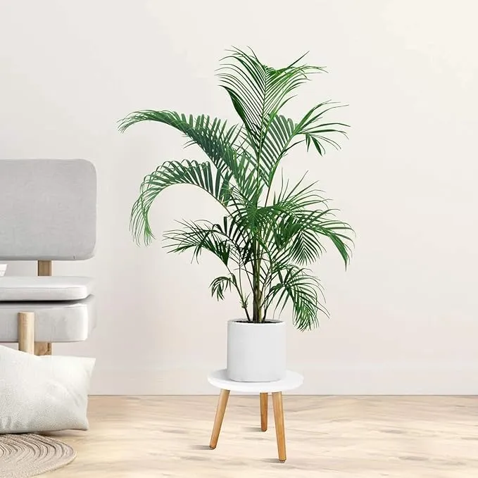  Round White Side Table Natural & White Wooden Side Table Modern Minimalist Nightstand Compact Accent Table for Living Room Bedroom or Office