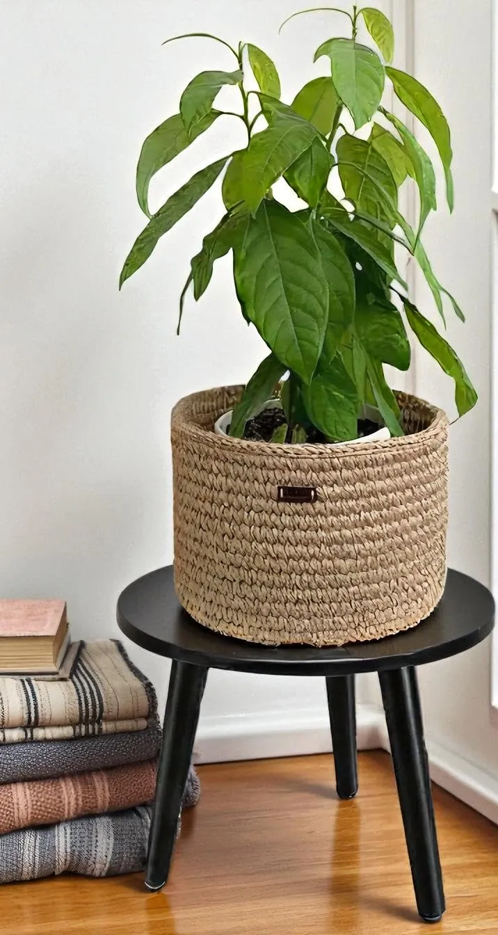 The wooden tone Mango Wood Black Round Side Table Foldable Three Leg End Table