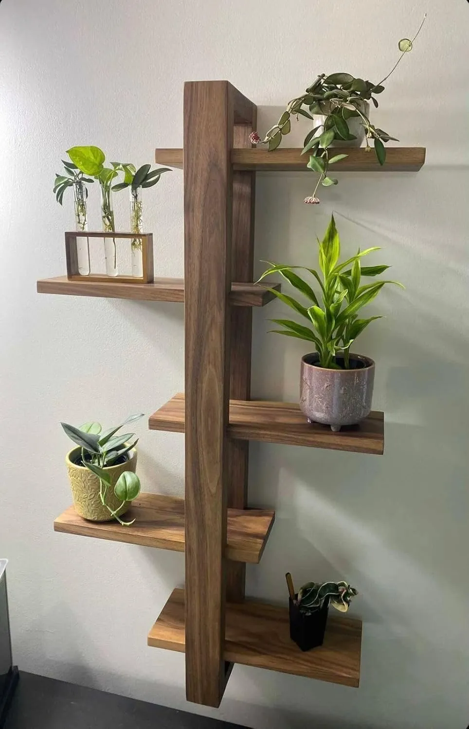 The wooden tone wall shelf for display and plant use crafted from wood in natural light finish