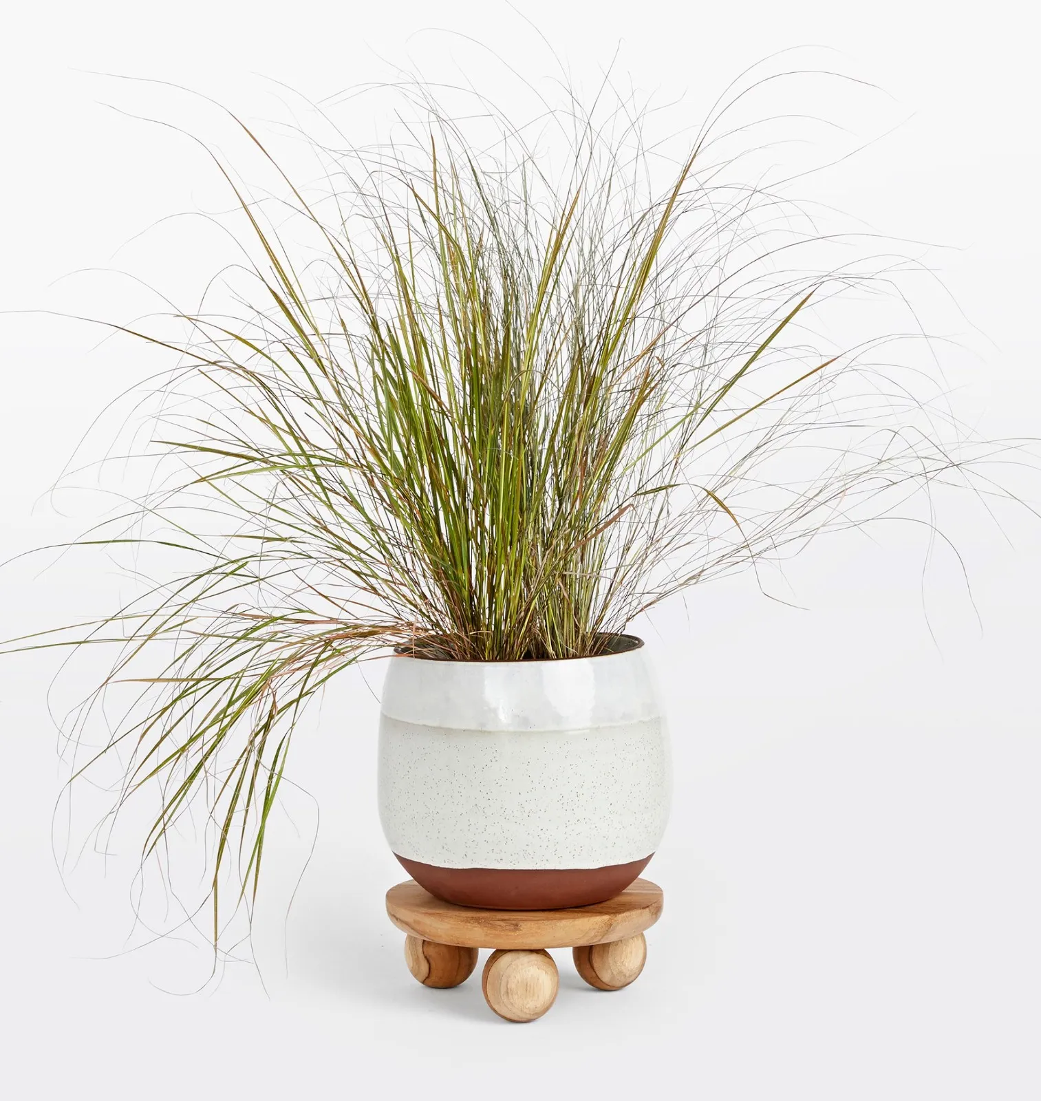 The wooden tone planter stand for living room use crafted from wood in natural light foldable design