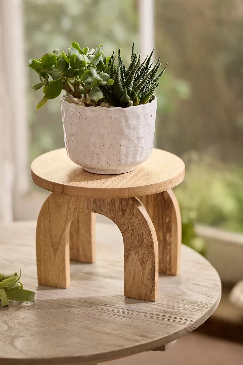 The wooden tone planter stand for living room use crafted from wood in natural light finish